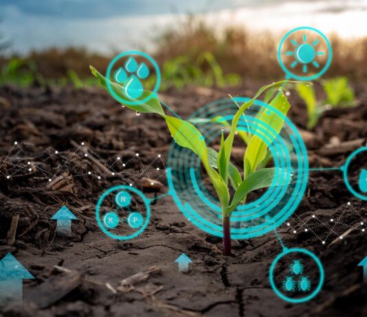 Sürdürülebilir Bir Gelecek İçin Tarımsal Dönüşüm